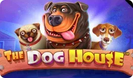 Ricardo's Casino – The Dog House